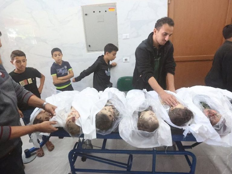 resimid_239363661_23936366-1